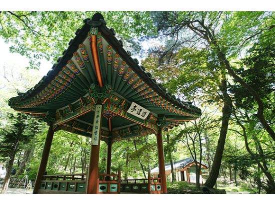 ソウル市内＆水原観光ツアー　世界遺産 昌徳宮（チャンドックン）＋宗廟＋北村＋水原華城　貸切・クルーズ付きプランあり！＜1日／日本語ガイド／昼食付／明洞解散＞