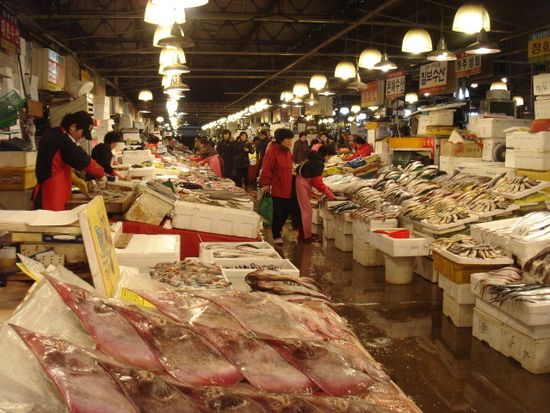 韓国グルメツアー 活気あふれる鷺梁津 ノリャンジン 水産市場 新鮮な魚介類 刺身をその場で食す 夕方 日本語ガイド ソウルの観光 オプショナルツアー専門 Veltra ベルトラ 韓国グルメツアー 活気あふれる鷺梁津 ノリャンジン 水産市場 新鮮な魚介類 刺身をその場で食す 夕方 日本語ガイド ソウルの観光 オプショナルツアー専門 Veltra ベルトラ