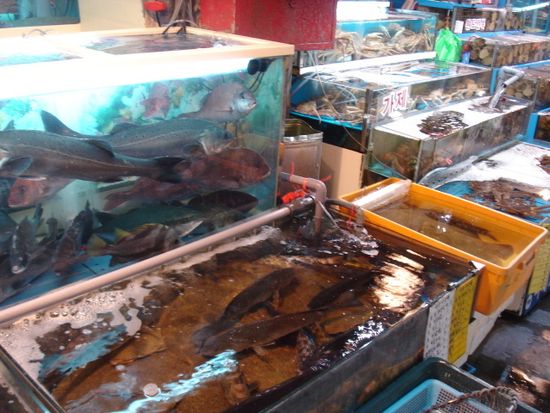韓国グルメツアー 活気あふれる鷺梁津 ノリャンジン 水産市場 新鮮な魚介類 刺身をその場で食す 夕方 日本語ガイド ソウルの観光 オプショナルツアー専門 Veltra ベルトラ 韓国グルメツアー 活気あふれる鷺梁津 ノリャンジン 水産市場 新鮮な魚介類 刺身をその場で食す 夕方 日本語ガイド ソウルの観光 オプショナルツアー専門 Veltra ベルトラ