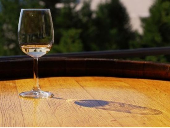 ナパバレー ワイナリーツアー　ワイナリー2軒＆ナパ・プレミアム・アウトレット立ち寄り ＜試飲付き（1軒）／日本語ガイド＞