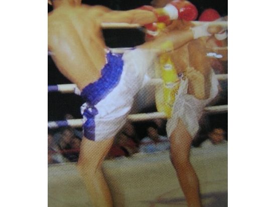 ムエタイ観戦ツアー☆聖地「ルンピニ・スタジアム」のリングサイド席で本場ムエタイ観戦！＜火・金・土曜催行／ホテル送迎付／日本語ガイド＞