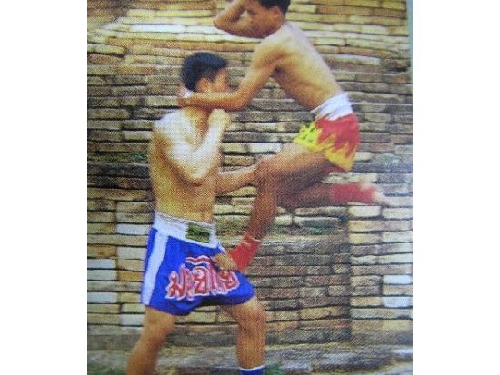 ムエタイ観戦ツアー☆聖地「ルンピニ・スタジアム」のリングサイド席で本場ムエタイ観戦！＜火・金・土曜催行／ホテル送迎付／日本語ガイド＞