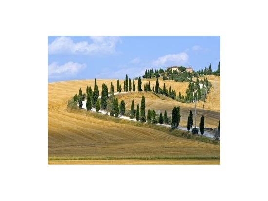 トスカーナ地方 1日観光ツアー　世界遺産オルチャ渓谷＆ピエンツァ歴史地区＆モンテプルチアーノのワイナリー訪問 ＜貸切／現地語ドライバー＞