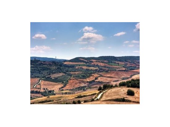 トスカーナ地方 1日観光ツアー　世界遺産オルチャ渓谷＆ピエンツァ歴史地区＆モンテプルチアーノのワイナリー訪問 ＜貸切／現地語ドライバー＞