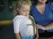 Wild Life Sydney little girl with reptile