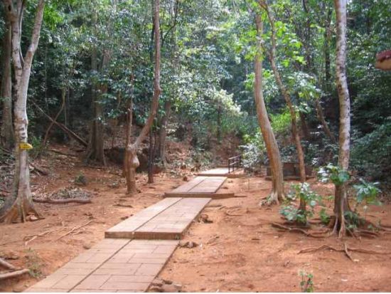 無人島巡り！アドベンチャー体験ツアー＜1日／ランカウイ発＞