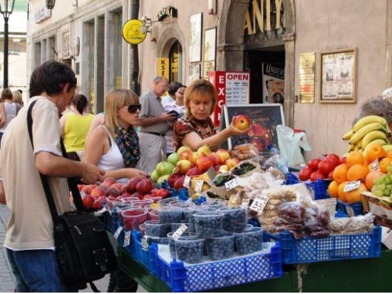 世界遺産クラクフ旧市街　半日ウォーキングツアー＜貸切／4時間／日本語ガイド／クラクフ発＞