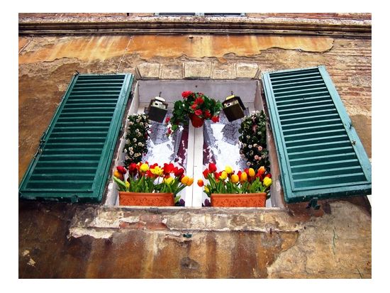 トスカーナ州　シエナ＋サン・ジミニャーノ＋キャンティワイナリー訪問＜モンテリッジョーニ訪問プランあり／昼食＆ワイン試飲付／英語／フィレンツェ発着＞