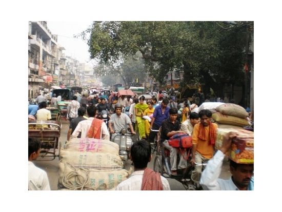 デリー終日市内観光☆オールドデリー＆ニューデリーの観光スポットをぐるり *リキシャ体験付＜貸切／日本語ガイド／昼食付＞