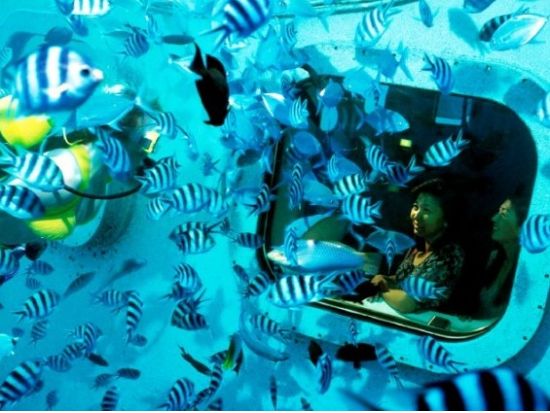 南の島のコスチューム＆ココナッツ体験☆南の島のカルチャーに触れよう！＜ランチ付きプランあり／送迎付き＞by フィッシュアイマリンパーク