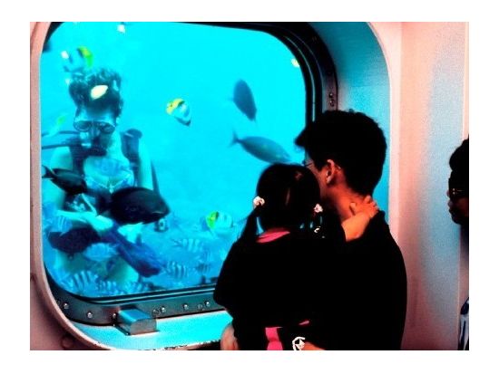 海中展望塔見学＋ココナッツ体験ツアー　うれしいランチ付きプランも！＜送迎オプションあり＞by フィッシュアイマリンパーク