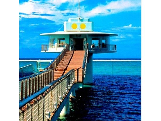 海中展望塔見学＋ココナッツ体験ツアー　うれしいランチ付きプランも！＜送迎オプションあり＞by フィッシュアイマリンパーク