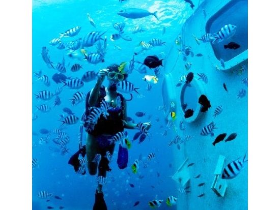 海中展望塔見学＋ココナッツ体験ツアー　うれしいランチ付きプランも！＜送迎オプションあり＞by フィッシュアイマリンパーク