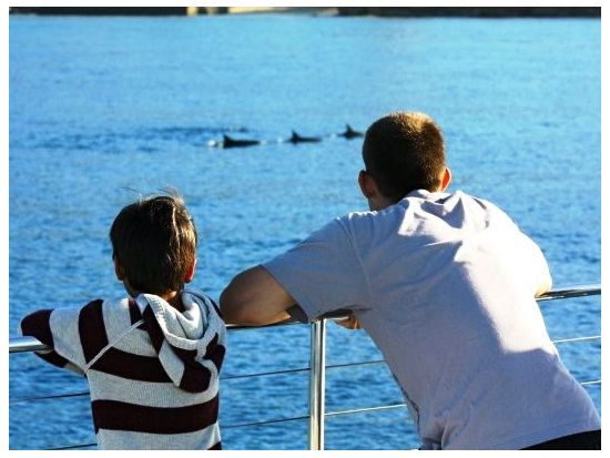 シュノーケリングクルーズ　イルカやウミガメに出会えるチャンスも！？選べる8時／12時出港プラン＜ハワイアンプレートランチ＆アルコール4杯付き／ワイキキ送迎あり＞