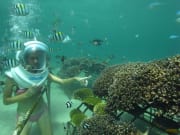 sea walker adventure under the sea in bali