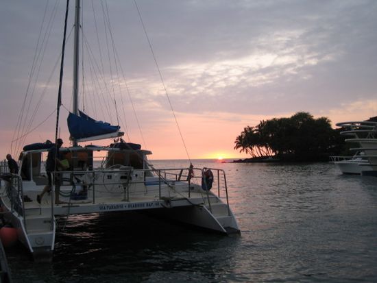 Sea Paradise Manta Ray Village Swim & Night Snorkel (Keauhou Bay) [Open