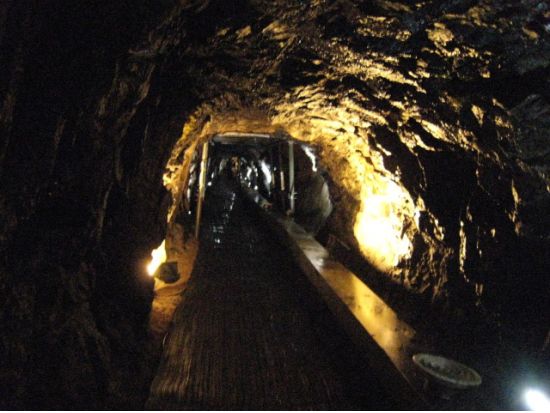 南北境界線（DMZ）ツアー　第3トンネル見学＋自由の橋＋都羅展望台　ゴンドラ乗車確約付きの「陳玉華ハルメ元祖タッカンマリ」昼食プランあり＜日本語／送迎選択可＞