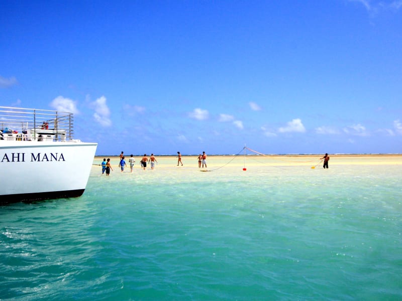 Captain's Landing Sport Boat Long Sleeve Sun Protection Shirt - White -  Captains Landing