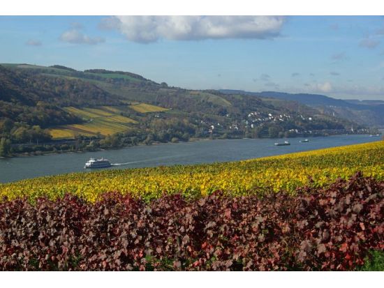 世界遺産ライン川クルーズ＆河岸レストランでのランチ　ライン渓谷日帰りツアー＜フランクフルト発＞