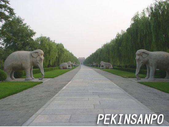 北京わがままチャーター☆北京市内・郊外観光(4時間・8時間)＜中国語ドライバー／日本語サポート＞ *車1台あたり料金