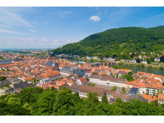 フランクフルト発 古都ハイデルベルク半日観光ツアー　ハイデルベルク城の入場付き＜午前・午後／英語ドライバー＞