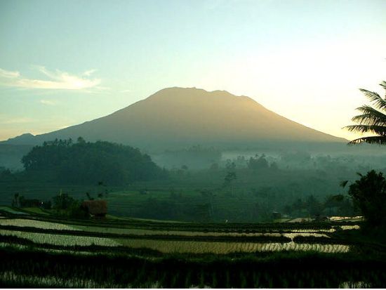 高級車 貸切チャーター観光（1～4名）正装したトップガイドがバリ島内をエスコート ＜6・12時間／日本語ガイド＞