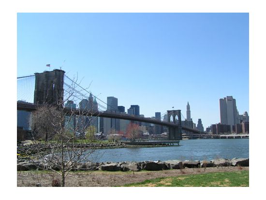 ニューヨーク観光ツアー　マンハッタン＋ブルックリン＋自由の女神の眺望までこれひとつで網羅！　ウィリアムズバーグでフリータイム1時間付き＜1日／日本語ドライバー＞