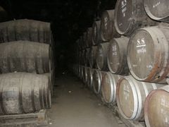 portugal, lisbon, arrabida wine tour