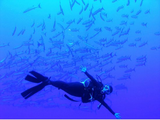 グアムでファンダイビング！初心者・ブランクダイバー向けの専属ガイド付きプランあり＜ボート／1～2ダイブ＞by WANDERERS