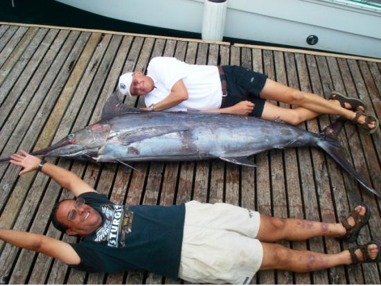 釣り人必見！クルーズ贅沢チャーターフィッシング/シーハンター・スポーツフィッシング（トローリング＆底釣り）