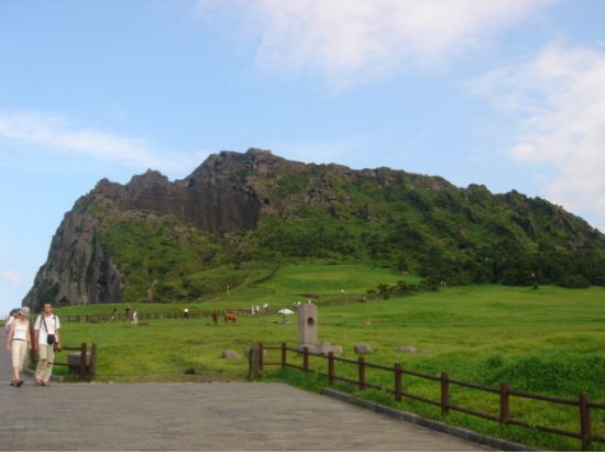 済州島を自由に観光　空港送迎オプション無料！＜貸切／8時間または4時間／日本語もしくは韓国語ドライバー／最大14名＞※車1台あたり料金