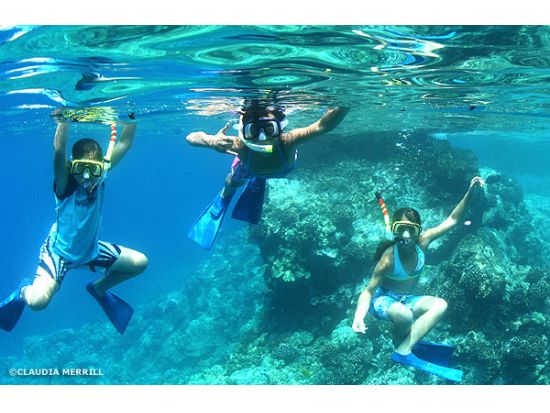 ハワイ島 ケアラケクア湾　シュノーケリングツアー ＜軽食付き／英語ガイド＞