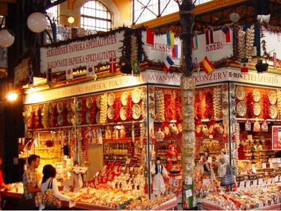 国会議事堂入場と中央市場見学半日ツアー＜午前・午後／日本語／少人数制＞