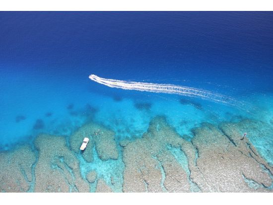 モーターパラグライダー　沖縄の海と空を見渡す上空200mの大パノラマ　ビデオや写真撮影もOK！＜3歳からOK／中城村発＞