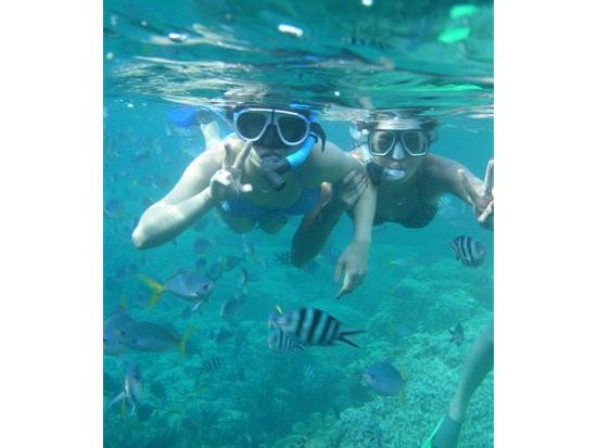 ジェリーフィッシュレイク＆ミルキーウェイ　無人島ビーチでシュノーケル体験つきの1日ツアー＜昼食付／送迎付き＞by IMPAC TOURS