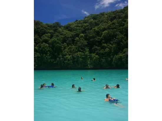 ジェリーフィッシュレイク＆ミルキーウェイ　無人島ビーチでシュノーケル体験つきの1日ツアー＜昼食付／送迎付き＞by IMPAC TOURS