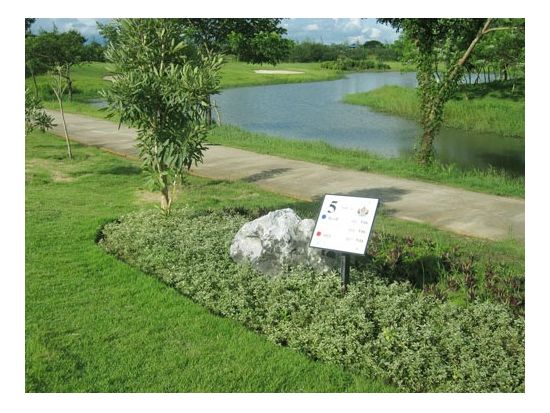 有名コース ゴルフ三昧ツアー＜ヤンゴン発着／貸切チャーター／日本語ガイド＞