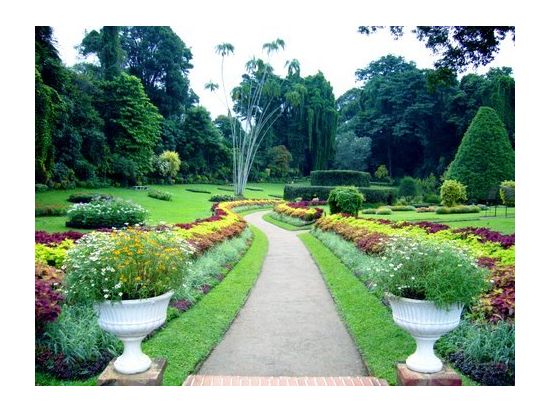 世界遺産キャンディ日帰り観光ツアー　ピンナワラ象の孤児院＆ペーラーデニヤ植物園 ＜貸切／日本語ガイド＞