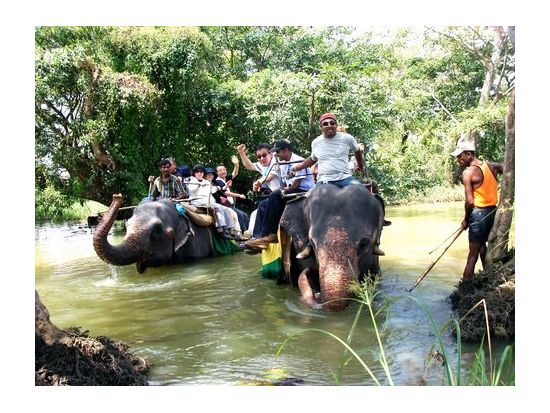 世界遺産キャンディ＆シーギリヤロック　1泊2日宿泊ツアー ＜貸切／キャンディ宿泊／日本語ガイド＞