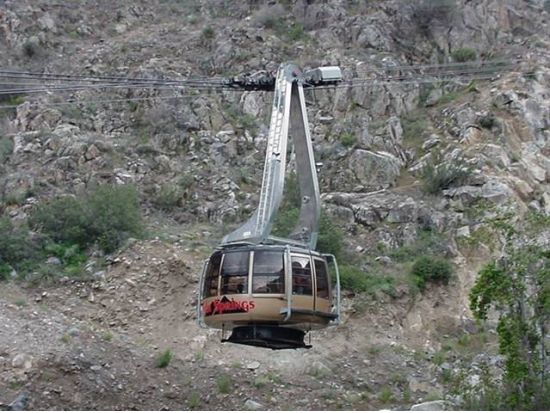 ジョシュアツリー国立公園 日帰り観光ツアー　砂漠の中のリゾートパームスプリングス立ち寄り ＜日本語ガイド＞