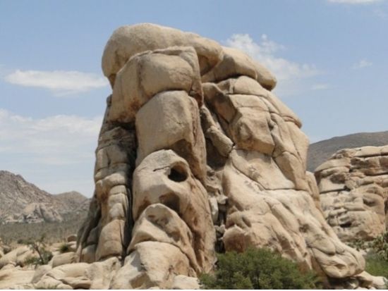 ジョシュアツリー国立公園 日帰り観光ツアー　砂漠の中のリゾートパームスプリングス立ち寄り ＜日本語ガイド＞