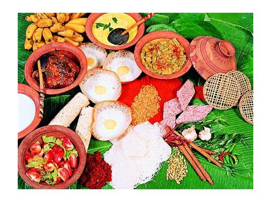 スリランカ生活体験＆デヒワラ動物園 1日観光ツアー　民家で家庭料理作り＆田舎のお寺訪問あり ＜貸切／日本語ガイド＞