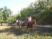 Horse riding tour from Cairns