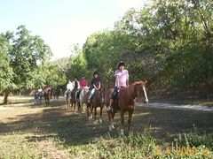 Horse riding tour from Cairns