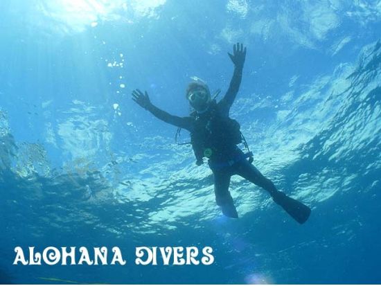 体験ダイビング  ワイキキまたはダイアモンドヘッド沖 ファンダイバーと潜れるプランもご用意＜ボート／1～2ダイブ＞by アロハナダイバーズ