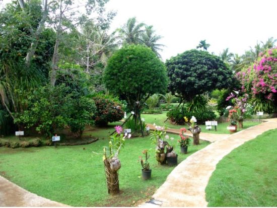 熱帯植物園 サンキョーガーデン　タモン・タムニン地区からの送迎付きプランもご用意あり！＜南国フルーツ試食付き＞