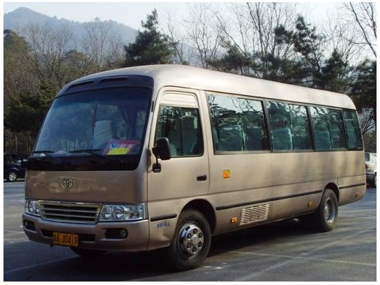 格安貸切チャーター(4時間・8時間)＜日本語ガイド付 or 運転手のみ＞