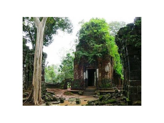 ベンメリア+ロリュオス遺跡群　密林の遺跡ツアー