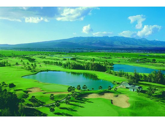 ハワイプリンス・ゴルフクラブ　ゴルフ場予約　ワイキキ指定地区送迎付きプランあり＜初級者～中級者＞