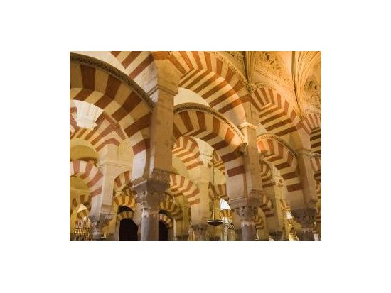 アンダルシアの白い村 モンテフリオ＆コルドバ 1日観光プライベートツアー＜ベンツ車利用／グラナダ発コルドバ着＞